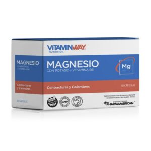 PHARMAMERICAN MAGNESIO VIT.WAY CAP X 60