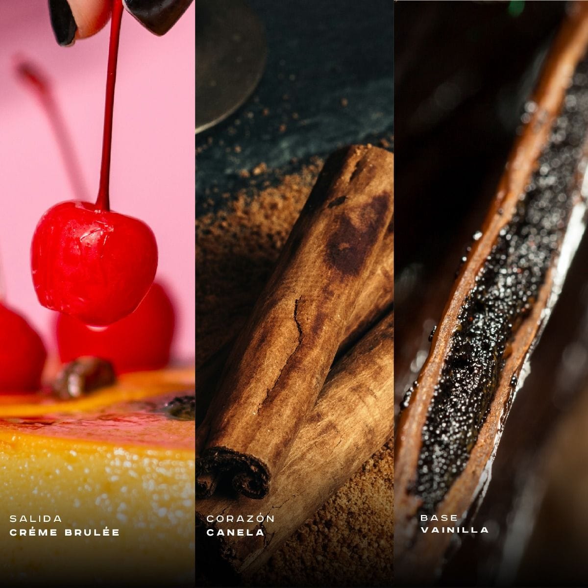 Bade'e Al Oud Honor & Glory | EDP | 100 ml BLANCO - Imagen 4