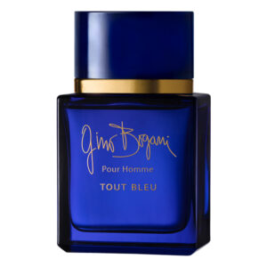 GINO BOGANI TOUT BLUE X 90ML.